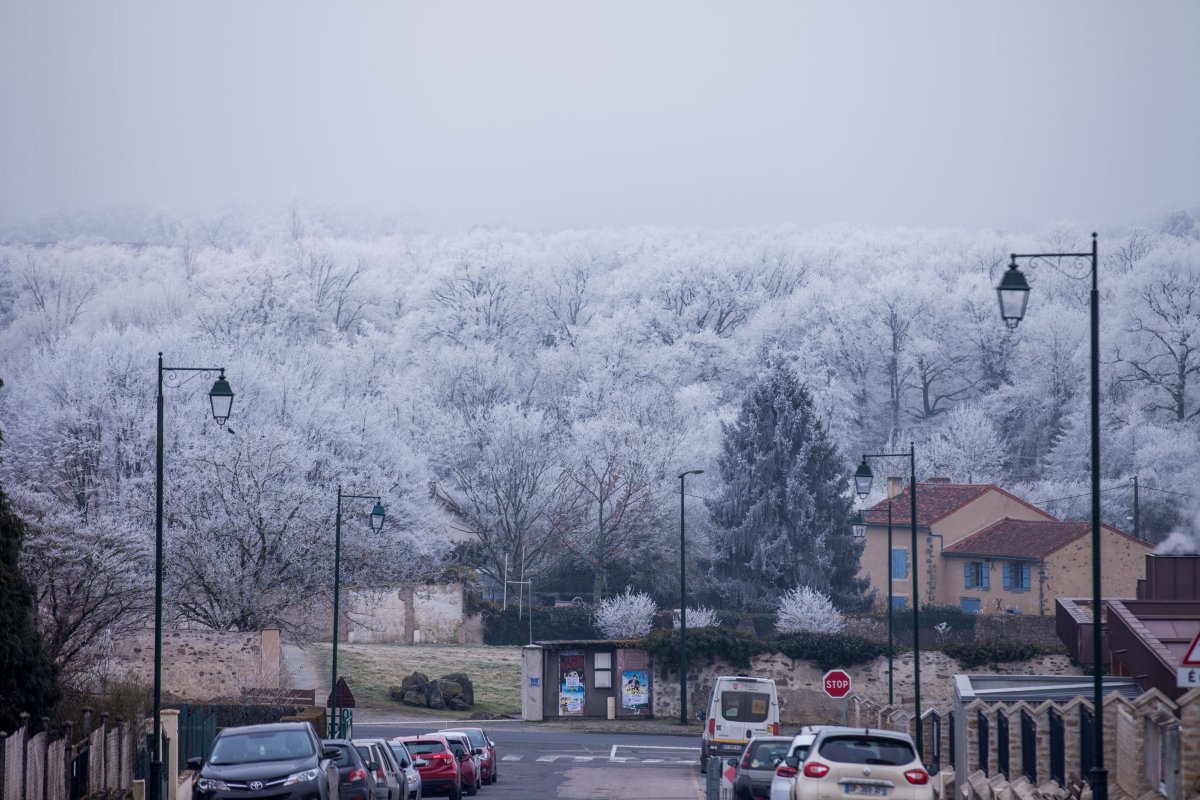 La nature blanche