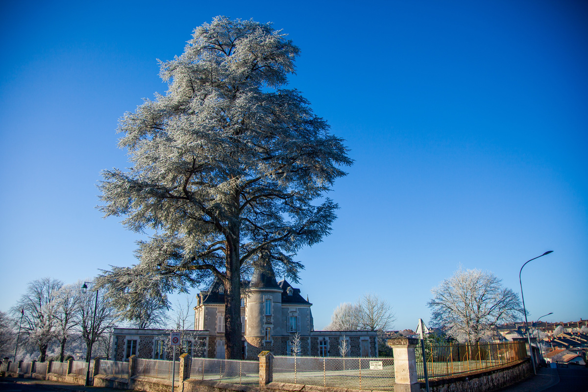 Mairie du Dorat dans le givre