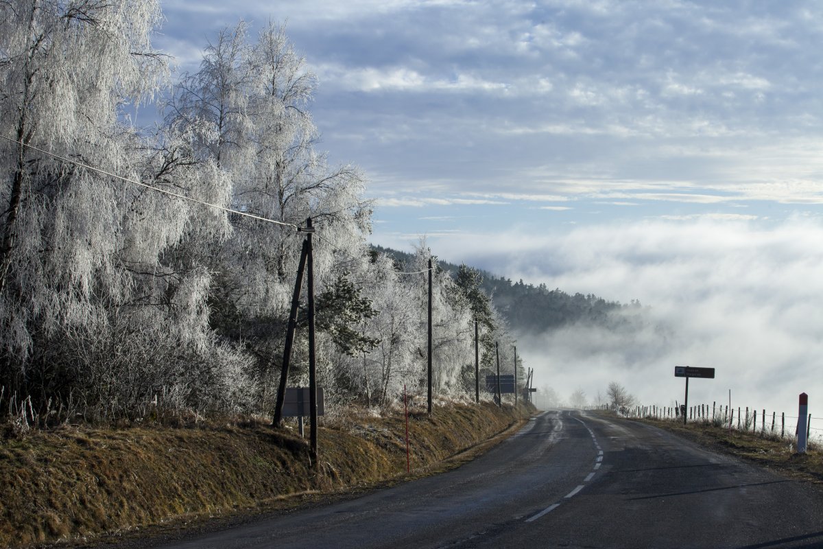 Route dans le givre