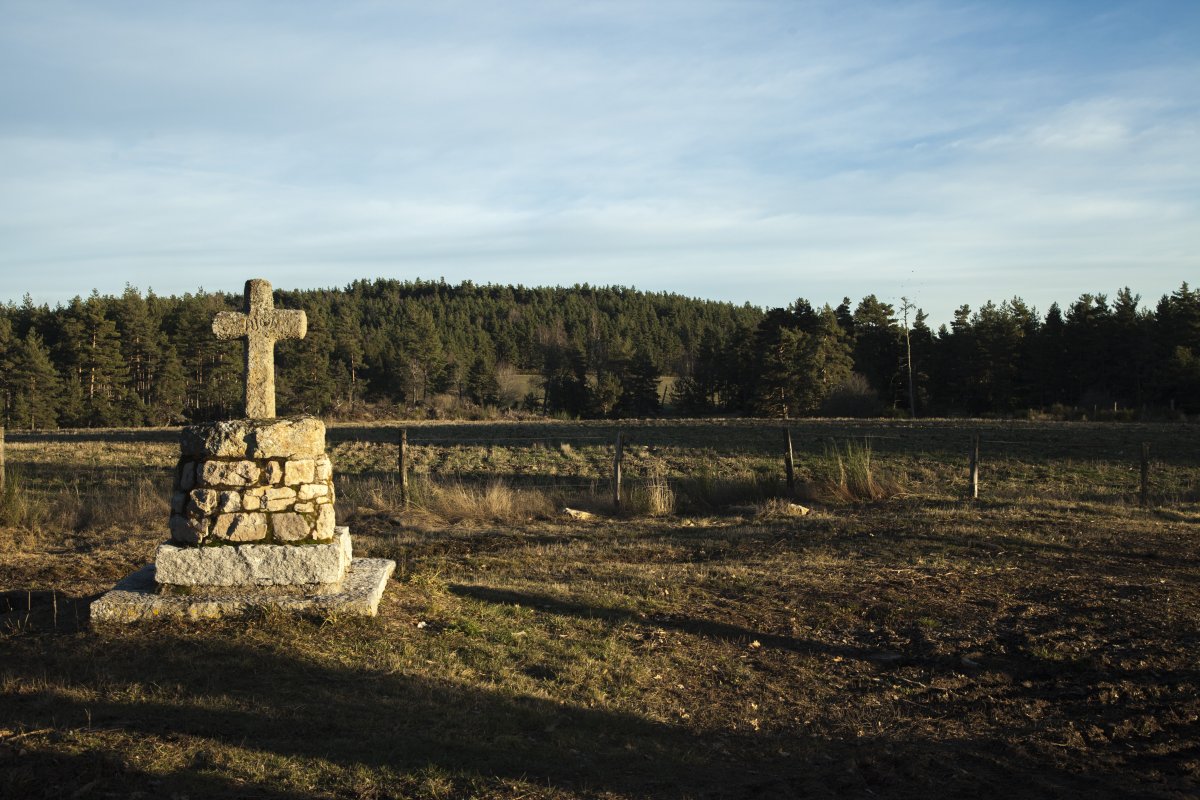 Calvaire dans le champ