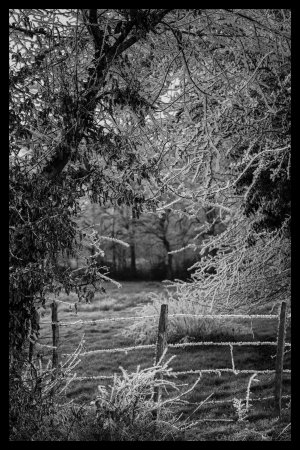 Entrée du champ gelé