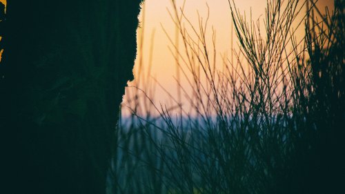 Levé du jour sur les monts de blond