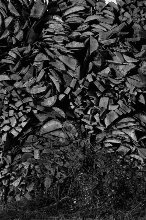 Pile de bois coupé