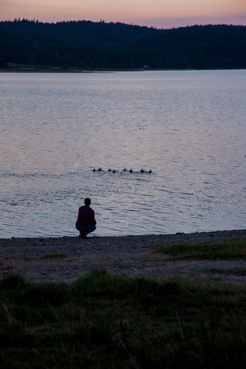 Lin et les canards